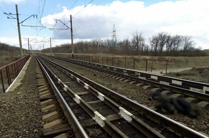 На залізничній колії біля с. Рибинське Волноваського району потяг збив місцевого мешканця. Про це повідомляє Волноваський відділ поліції.