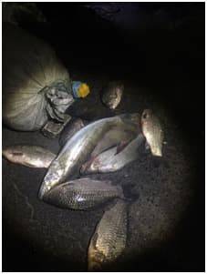 Этой ночью в г. Счастье бойцы батальона