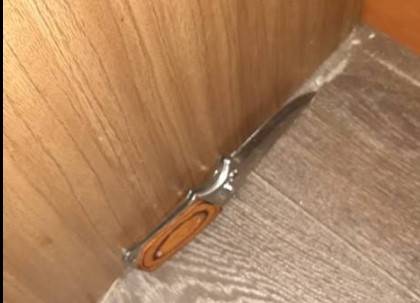 Об этом сообщает отдел коммуникации Полиции.  Так, в момент, когда подозреваемый выходил из ограбленной квартиры, оперативник задержал его. Однако, пытаясь убежать, злоумышленник ударил полицейского н