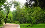 На городской парк в Рубежном собираются потратить 117 миллионов