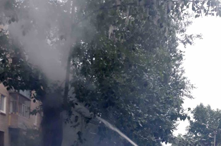 22 мая в 18:47 в Службу спасения «101» поступило сообщение о возгорании дерева вблизи жилого дома по ул. Б. Хмельницкого в Рубежном.