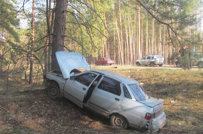 4 апреля 2019 года, около 15:00 47-летний мужчина, управляя автомобилем ВАЗ 2102, двигался по автодороге Т-1306, сообщением «Новоайдар-Северодонецк». На 11км от Северодонецка водитель выехал за предел