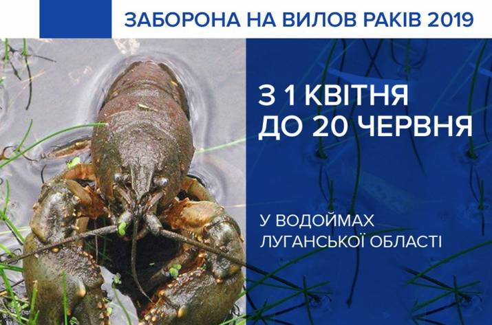 З 1 квітня до 30 червня на території Луганської області діє заборона на вилов раків. Про це повідомляє прес-служба Патрульної поліції.