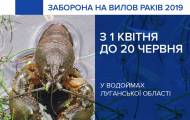 З 1 квітня до 30 червня на території Луганської області діє заборона на вилов раків. Про це повідомляє прес-служба Патрульної поліції.