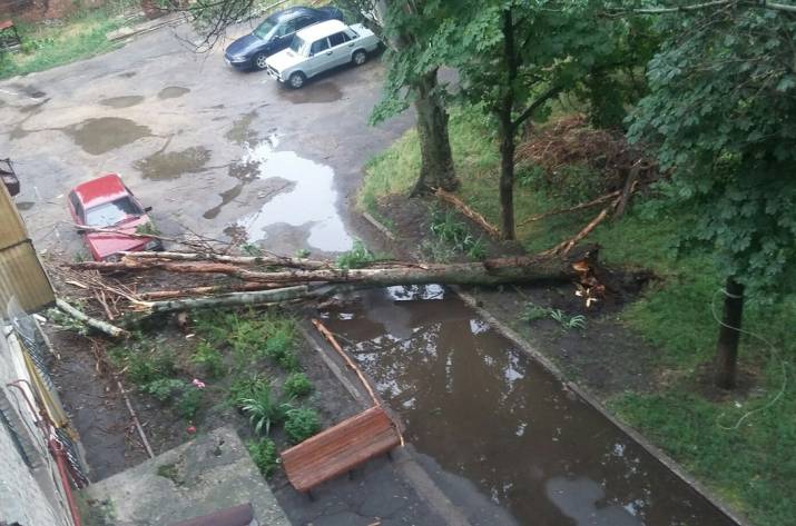 В результате шквального ветра и дождя в оккупированном Луганске были повалены деревья, оборваны линии електропередач и затоплены дороги.
