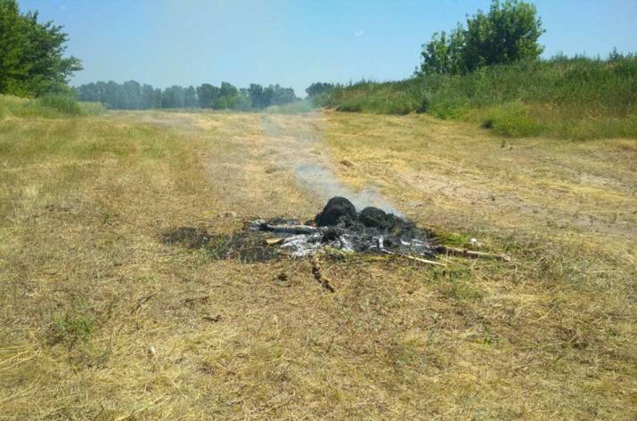 В 200 метрах от улицы Озерная с. Кубань Новопсковского района полицейские обнаружили поляну дикорастущей конопли. Об этом сообщает Отдел коммуникации полиции Луганщины.