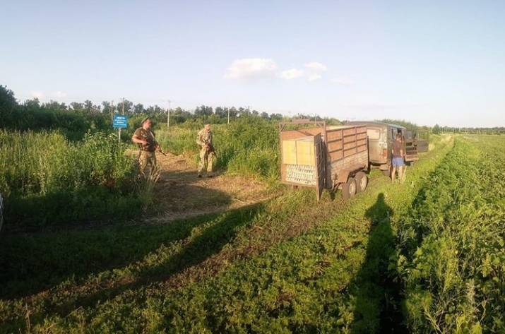 Контрабанда