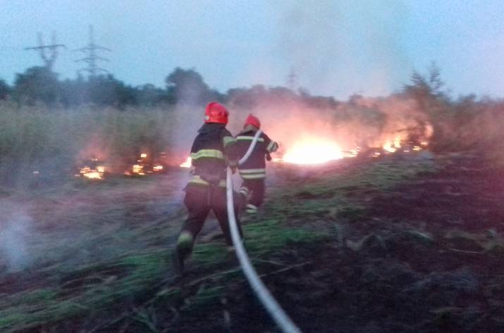 Вчера, 26 июня, в 20:35 в Службу спасения «101» поступило сообщение о возгорании камыша по ул. Красная в садовом обществе «Клешня» вблизи поселка Сиротино Северодонецкого городского совета.