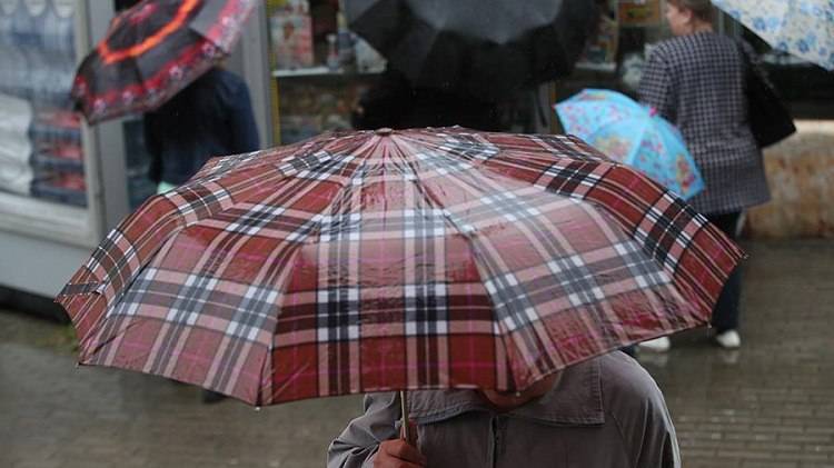 В субботу, 27 июля, днем на Донбассе ожидается + 25 ... + 29 градусов, ночью - 16 ... + 19 градусов. Ночью без осадков, днем дожди. Об этом сообщается на сайте Укргидрометцентра.