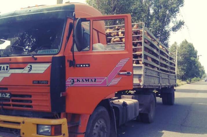 30 и 31 июля на Луганщине были проведены рейдовые проверки по соблюдению автомобильными перевозчиками требований действующего законодательства.