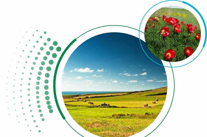 18 августа в Северодонецке на проспекте Химиков, 28, на площади Северодонецкого городского дворца культуры, пройдет этнофестиваль «Луганщина Єднає».