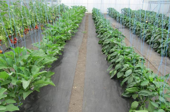 Агроволокно