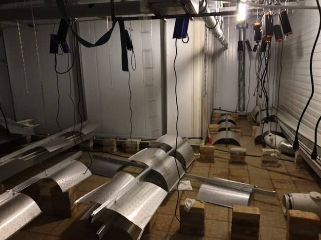 Нарколаборатория