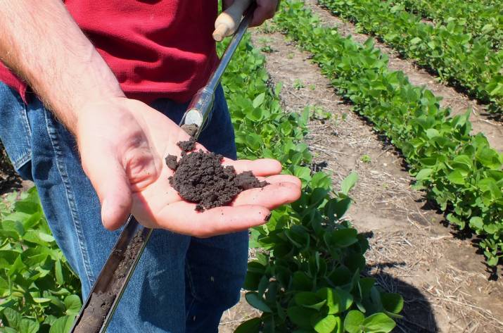 анализ почвы