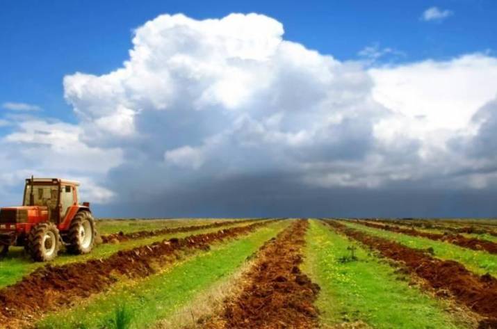 Рынок земли нужен, но права украинцев должны быть защищены, - мнение