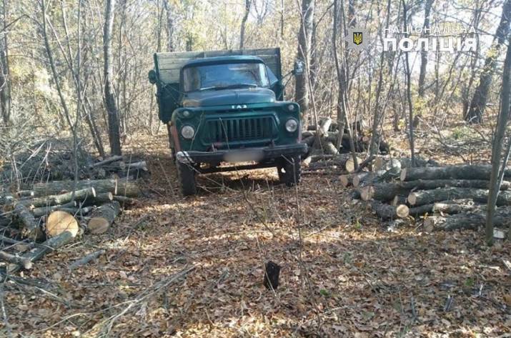 Вчера, 15 октября, сотрудники следственно-оперативной группы вместе с оперативниками Сватовского отдела полиции выявили 5 мужчин, которые незаконно вырубали лес с помощью бензопил.
