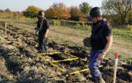 В зоне проведения операции Объединенных сил на Донбассе за неделю обезвредили почти 700 взрывоопасных предметов.
