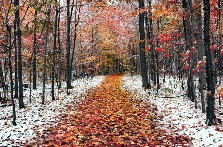 В ближайшие дни на территории Луганщины ожидаются осадки в виде снега, мороз, местами - гололед.