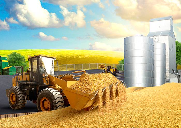 спецтехника трактор зерно пшеница