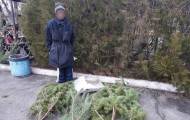 В течение суток в четырех районах Луганщины полицейские обнаружили местных жителей, которые незаконно спилили 12 хвойных деревьев.