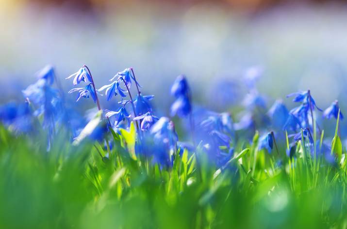 Это воскресенье стало самым теплым 8 марта в Луганске за всю историю метеонаблюдений