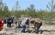 Вчера, 10 марта, в Северодонецке более 400 горожан в рамках акции «Восстанавливаем леса вместе» высадили саженцы сосны на согласованных с ГП «Северодонецкое лесоохотничье хозяйство» участках, пострад