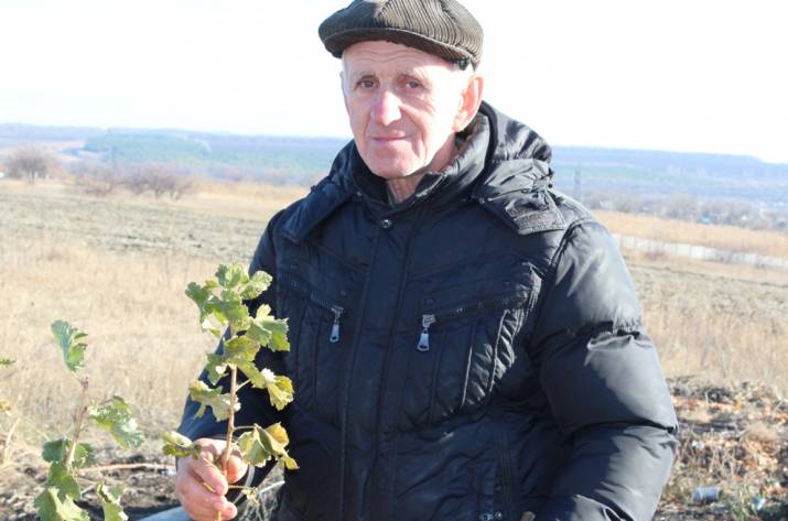 Фермер из Луганщины Алексей Бут выращивает на своем земельном участке органические овощи, фрукты и экзотические растения.