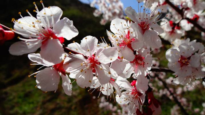 В ближайшее время на территории Луганщины прогнозируют облачную и без осадков погоду.
