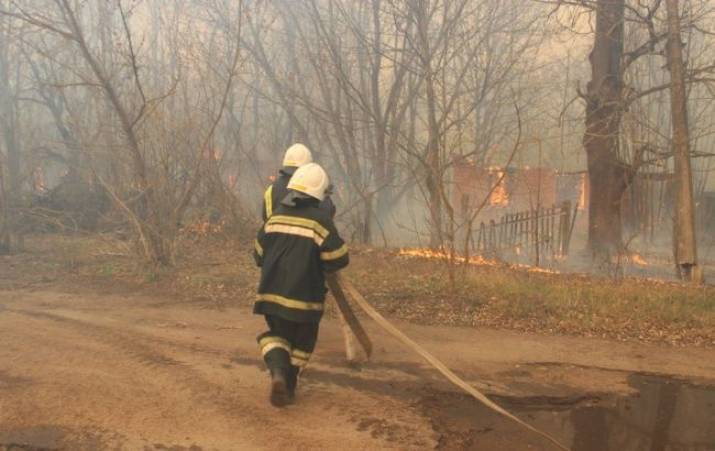 В Чернобыльской зоне до сих пор тлеет травяной настил и древесина в пройденных огнем ячейках.