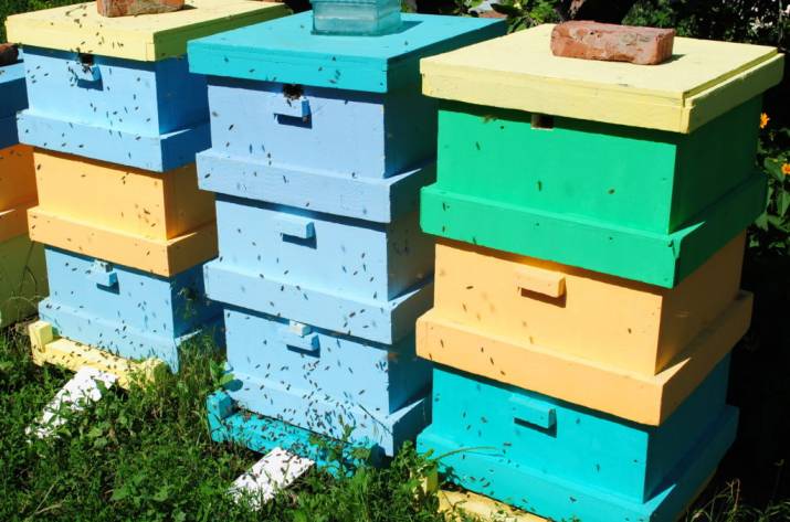 улей из пенополистирола