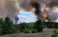 Пожар под Северодонецком уничтожил 27 гектаров леса