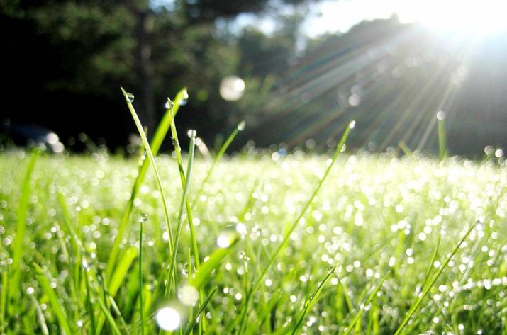 В ближайшие дни на территории Луганской области прогнозируют облачную погоду, небольшой дождь, местами - грозы.