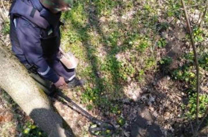 За минувшие сутки в Попаснянском районе пиротехники выявили и уничтожили 64 взрывоопасных предмета.