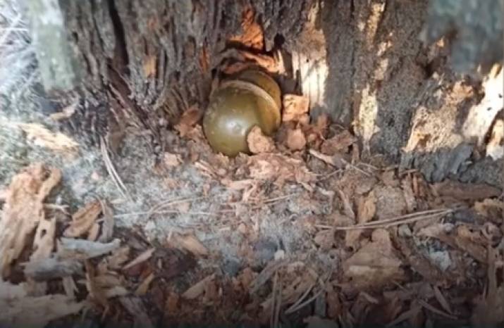 В районе объездной дороги из Северодонецка в Рубежное выявили и обезвредили современную ручную гранату РГД-5.