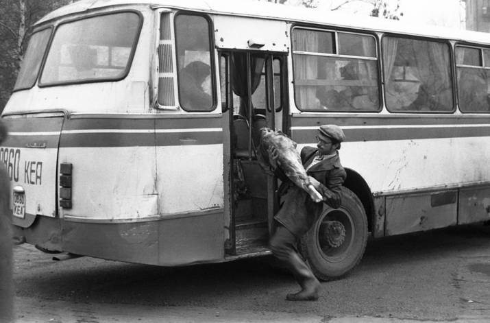 Фотографов зовут Владимир Соколаев, Владимир Воробьёв и Александр Трофимов — они создали творческую группу