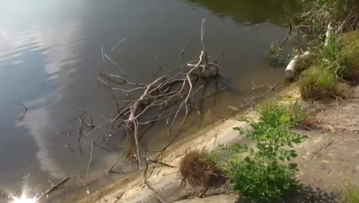В ОРДЛО предсказуемо наступила экологическая катастрофа, о которой предупреждали ещё в 2014-м. Из-за бездумного уничтожения шахт и шахтных водоотливов теперь мелеют водохранилища и пруды, пересыхают р