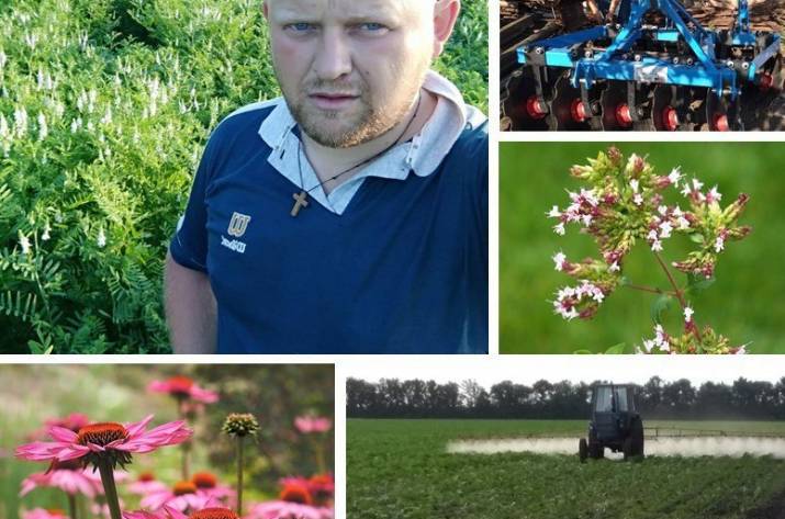 Переселенец из Донецка засеял 3 га земли лекарственными травами.