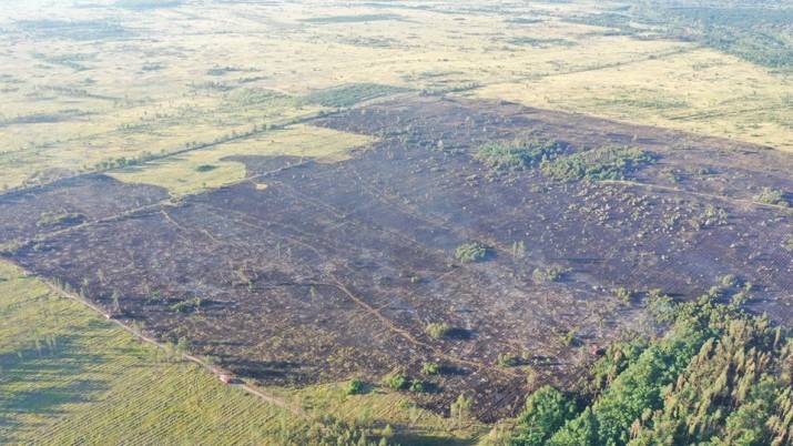 По состоянию на 10:00 23 июля на территории Трехизбенского лесничества наблюдается тление отдельных участков сухой травы, кустарников и древесины в пределах контролируемого периметра. 