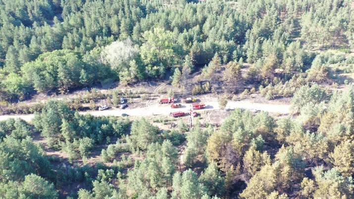 Вчера, 24 июля, в 15:02 в Службу спасения поступило сообщение от сотрудника лесного хозяйства ГП