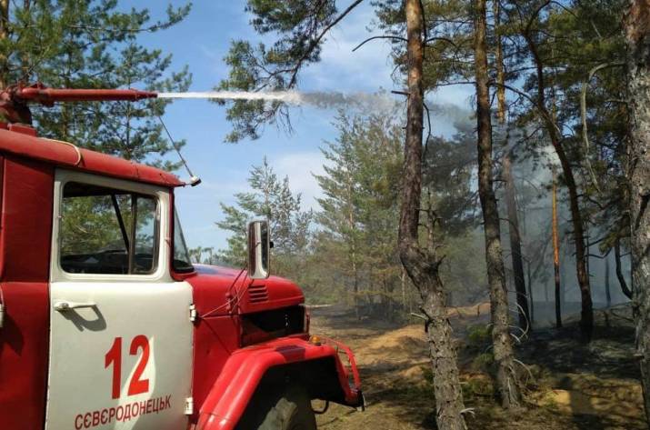Сегодня, 1 сентября, в 11:20 в Службу спасения поступило сообщение о пожаре в лесном массиве Северодонецкого лесоохотничьего хозяйства вблизи поселка Боровское.
