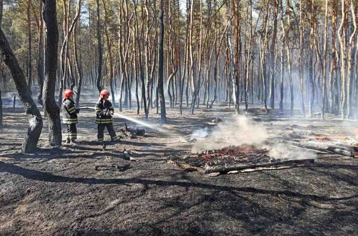 Спасатели продолжают тушить пожар в лесном массиве Северодонецкого лесоохотничьего хозяйства вблизи поселка Боровское.