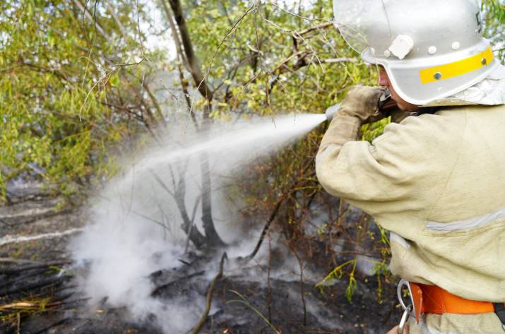 В Луганской области продолжают тушить 2 очага возгорания.