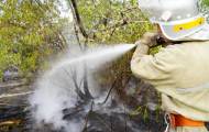 В Луганской области продолжают тушить 2 очага возгорания.