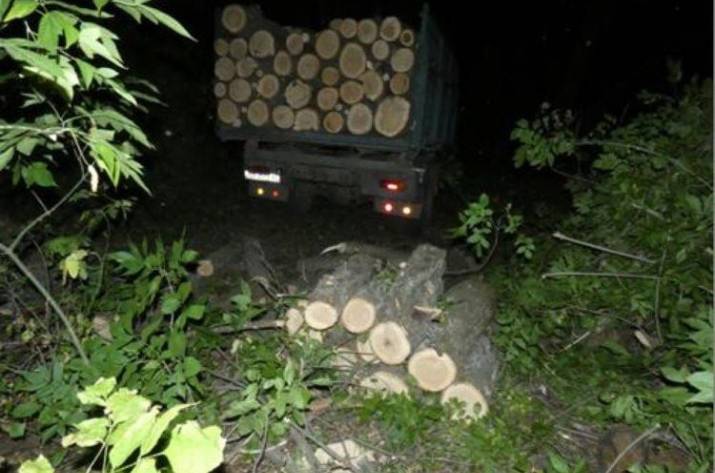 Сотрудники Старобельского отдела полиции выявили группу из трех мужчин, которые осуществляли незаконную вырубку леса в Подгоровке. Им грозит до трех лет тюрьмы.