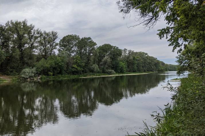 Предприятия Лисичанска, Северодонецка и Рубежного сбрасывают в Донец около 12 млн кубометров нечистот в год