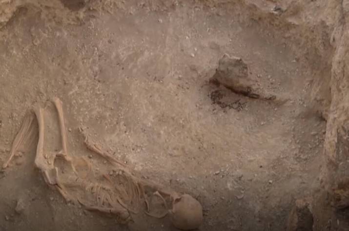 Археологическая экспедиция Восточноукраинского национального университета имени Даля подвела итоги трехнедельной работы в Нижней Дуванке Сватовского района.