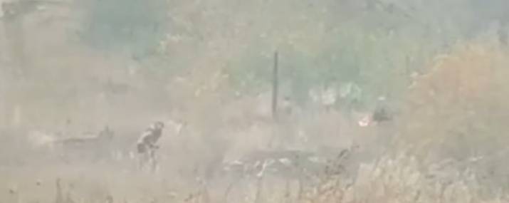 Украинские военные показали, как боевики поджигают траву на Луганщине (видео)