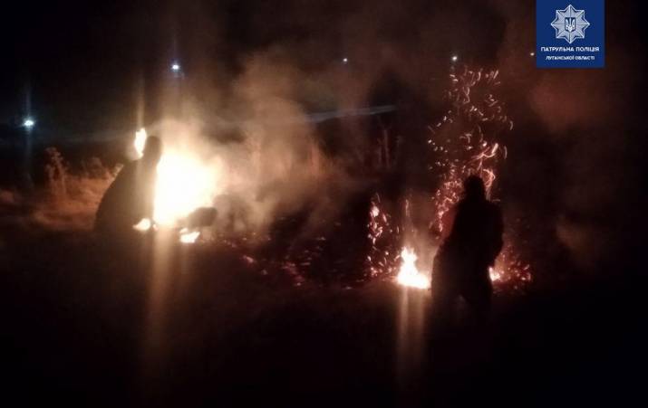 Ночью на ул. Октябрьская в Лисичанске патрульные выявили возгорание травы и кустов.