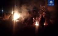 Ночью на ул. Октябрьская в Лисичанске патрульные выявили возгорание травы и кустов.