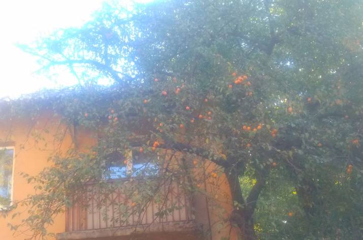 Жители оккупированного Донецка рассказывают об аномалиях, замеченных в городе.